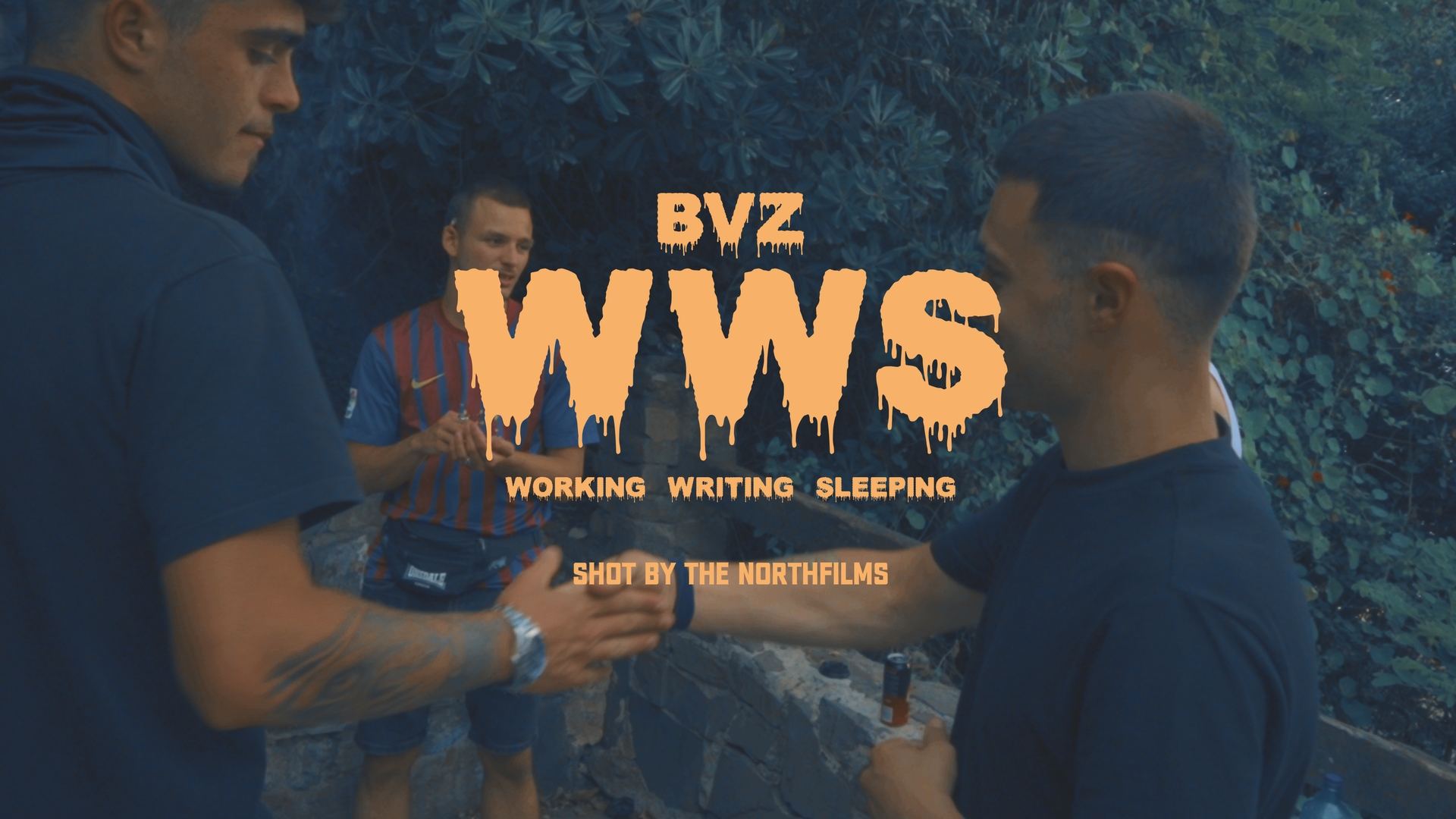 BVZ - WWS