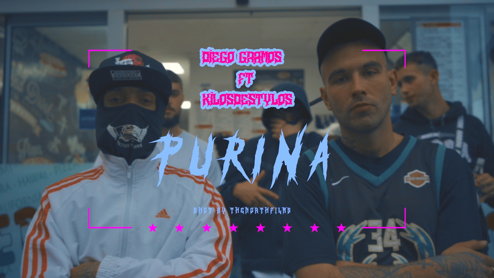 DIEGO GRAMOS FT KYLOSDSTLOS - PURINA